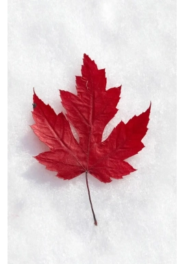 CANADIAN AUTHORS