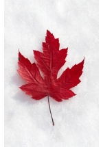 CANADIAN AUTHORS