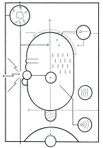CHRIS WARE