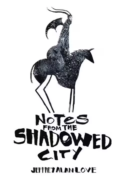 NOTES FROM SHADOWED CITY ILLUS NOVEL SC