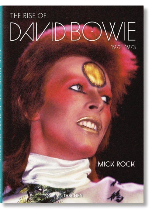 RISE OF DAVID BOWIE 19721973 HC