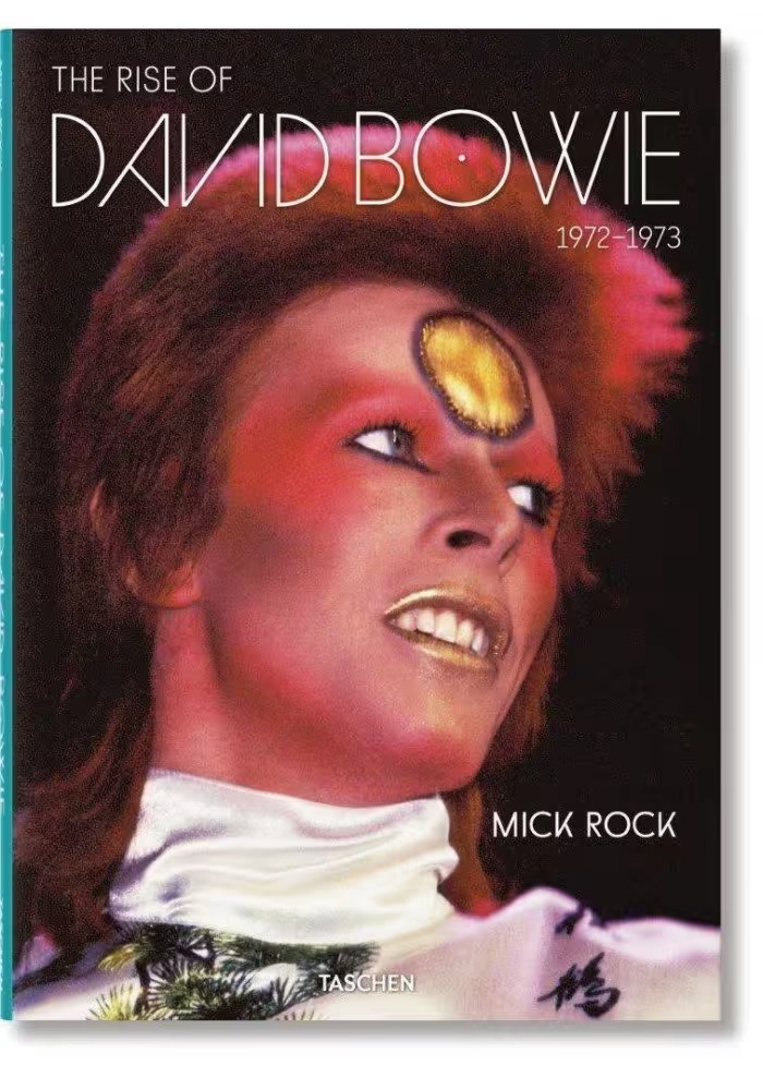RISE OF DAVID BOWIE 19721973 HC