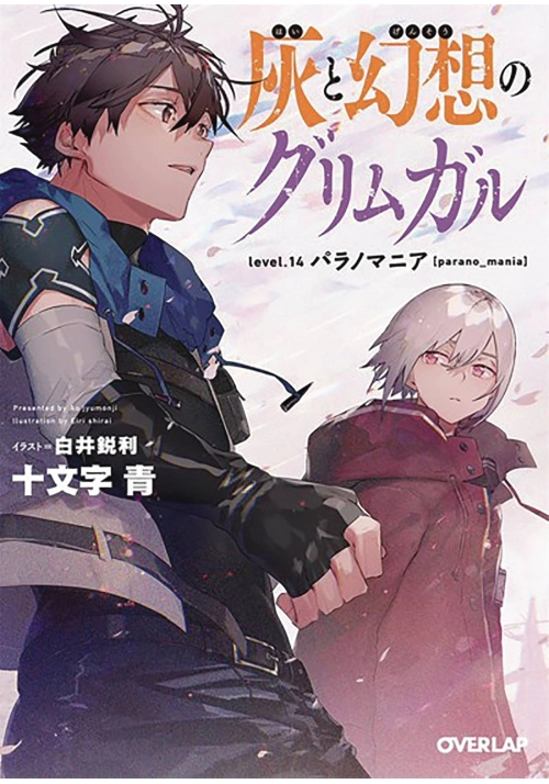 GRIMGAR OF FANTASY & ASH LIGHT NOVEL VOL 14