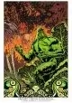 SWAMP THING ESSENTIAL LITHOGRAPHIE SIGNÉE PAR YANICK PAQUETTE