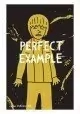 PERFECT EXAMPLE TP 2ND ED (MR)R)