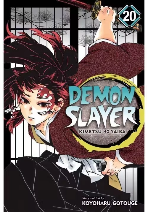 DEMON SLAYER KIMETSU NO YAIBA GN VOL 20