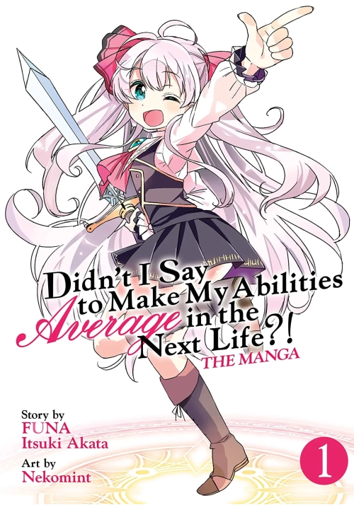 DIDNT I SAY MAKE ABILITIES AVERAGE NOVEL SC VOL 01