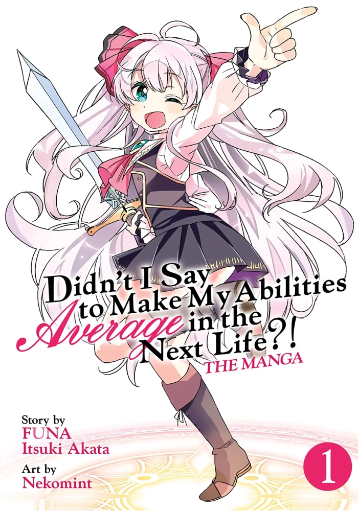 DIDNT I SAY MAKE ABILITIES AVERAGE NOVEL SC VOL 01