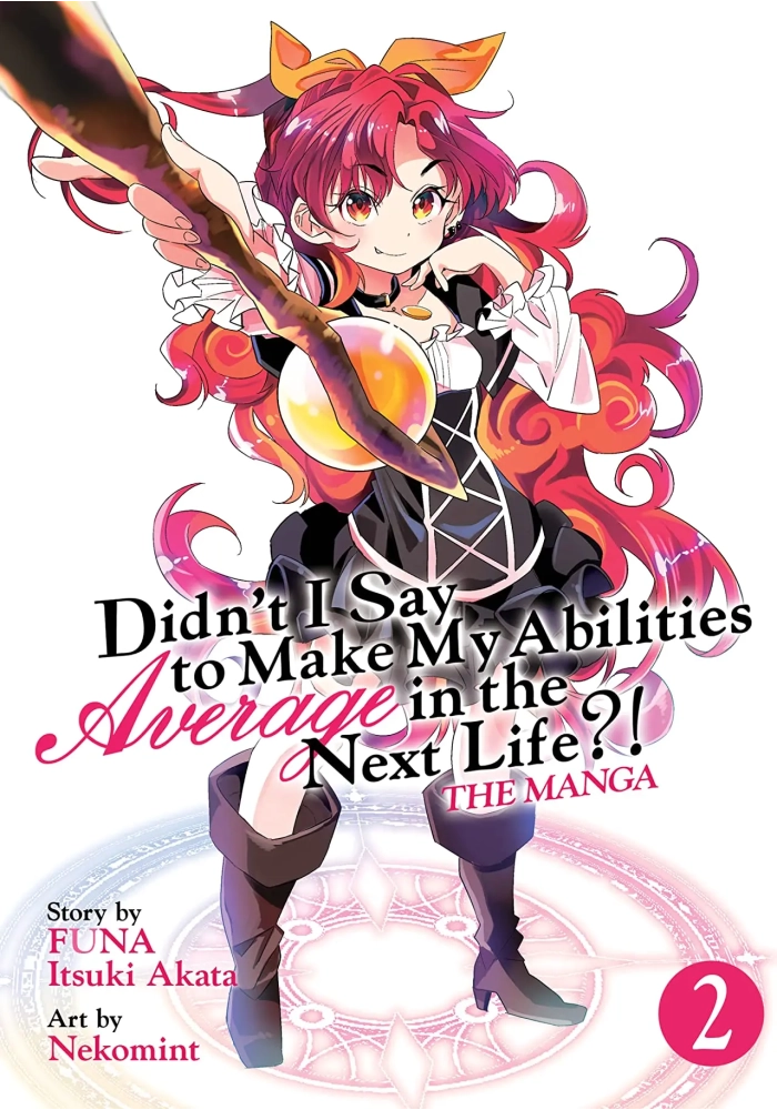 DIDNT I SAY MAKE ABILITIES AVERAGE NOVEL SC VOL 02