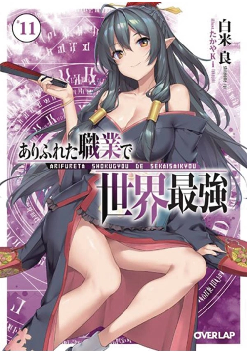 ARIFURETA FROM COMMONPLACE LIGHT NOVEL VOL 11 (MR)