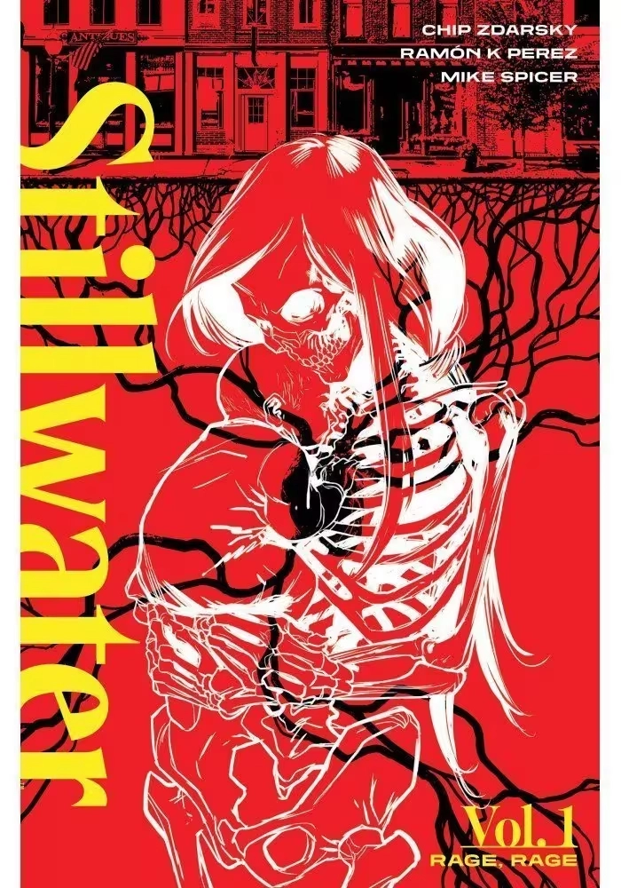 STILLWATER BY ZDARSKY & PEREZ TP VOL 01 (MR)