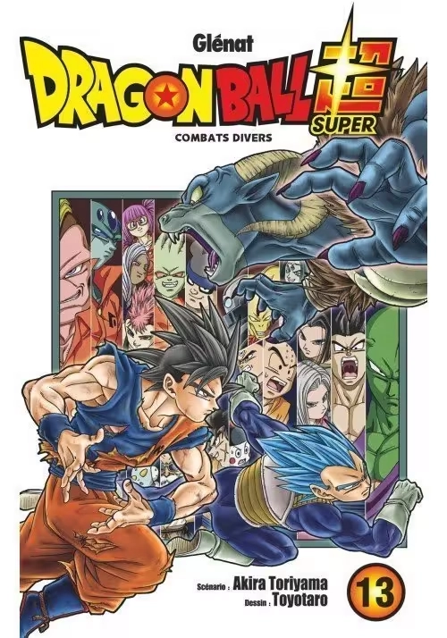 DRAGON BALL SUPER TOME 13