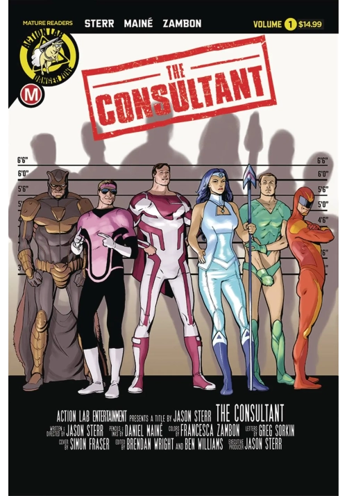 CONSULTANT TP VOL 01