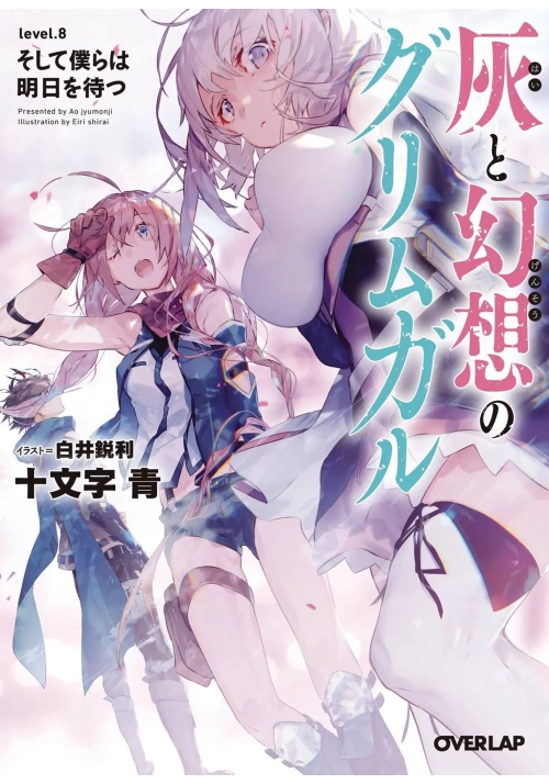 GRIMGAR OF FANTASY & ASH LIGHT NOVEL VOL 08