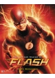 ART AND MAKING OF THE FLASH HC