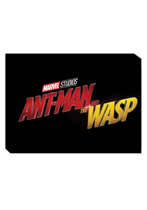 MARVELS ANT-MAN AND WASP ART OF MOVIE HC
