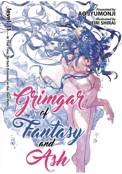 GRIMGAR OF FANTASY & ASH LIGHT NOVEL VOL 11