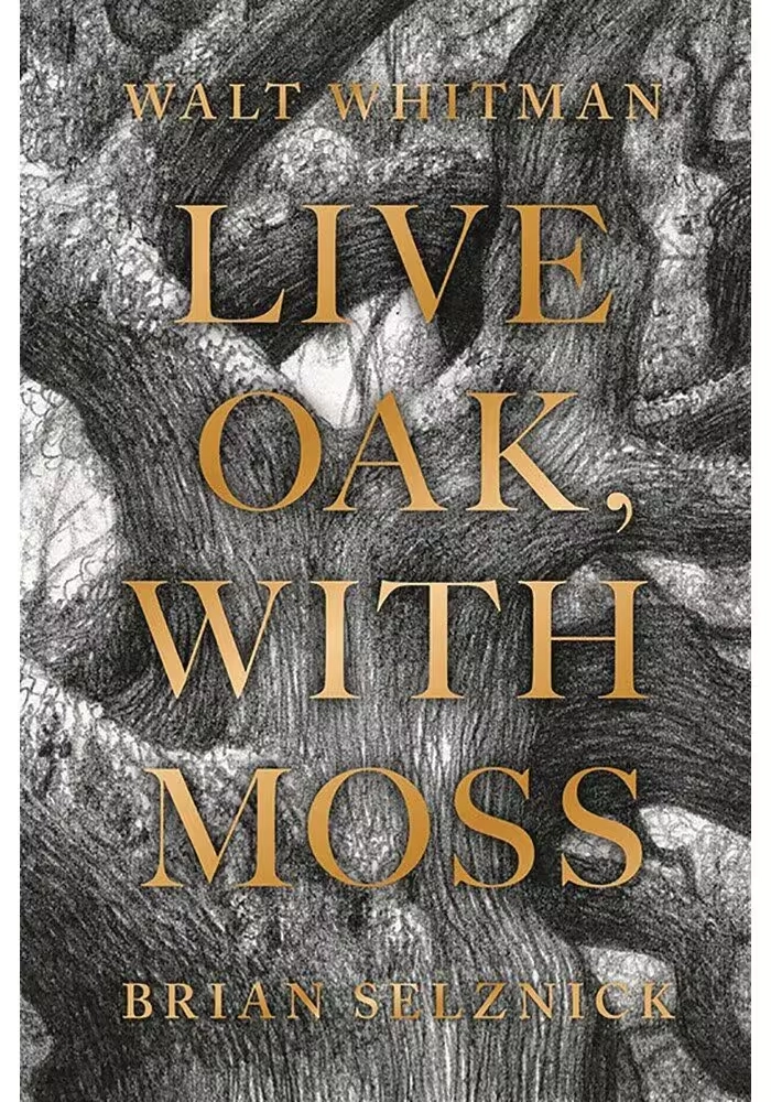 LIVE OAK WITH MOSS