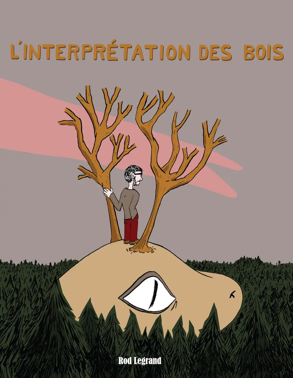 L'INTERPRETATION DES BOIS