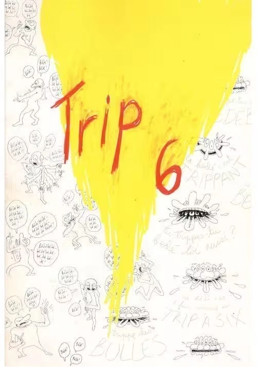 TRIP 6