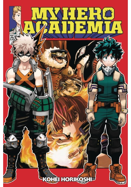 MY HERO ACADEMIA GN VOL 13