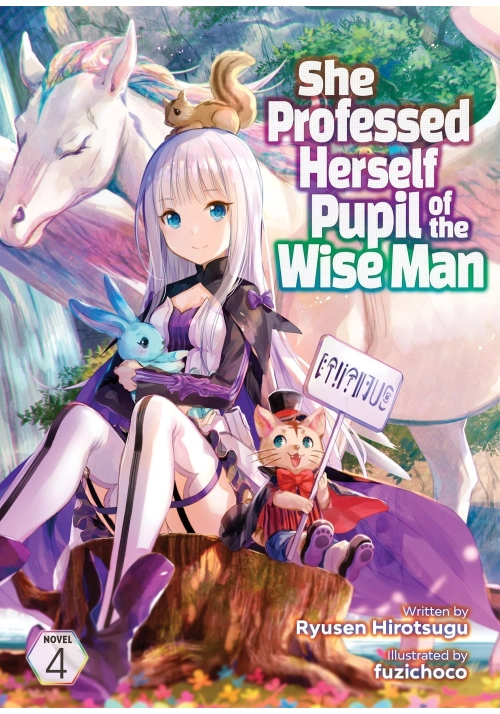 SHE PROFESSED HERSELF PUPIL OF THE WISE MAN (LIGHT NOVEL) VOL. 4