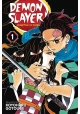 DEMON SLAYER KIMETSU NO YAIBA GN VOL 01