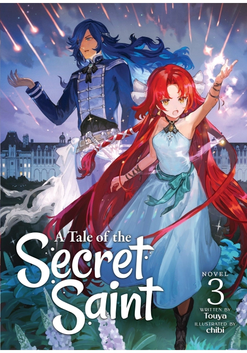 A TALE OF THE SECRET SAINT (LIGHT NOVEL) VOL. 3