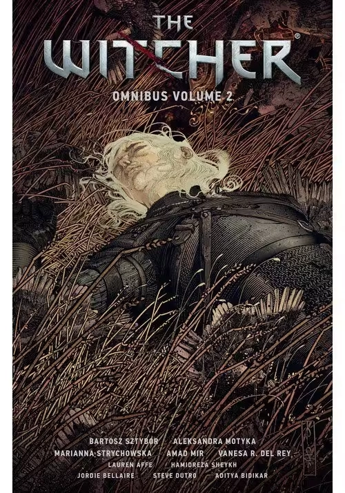 THE WITCHER OMNIBUS TOME 2