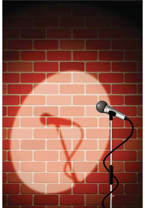 STAND-UP COMEDY BRICK WALL (WITH MICROPHONE)