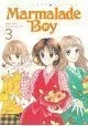 MARMALADE BOY: COLLECTOR'S EDITION 3