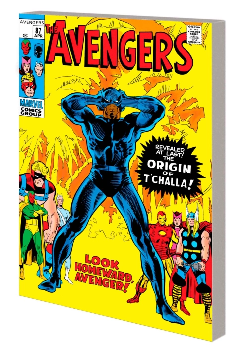 MIGHTY MMW BLACK PANTHER TP VOL 02 LOOK HOMEWARD DM VAR