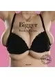 BIGGER BOOK OF BREASTS HC (MR)