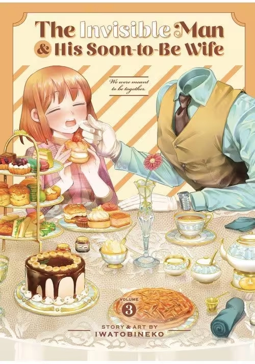 INVISIBLE MAN, SOON TO BE WIFE GN VOL 03