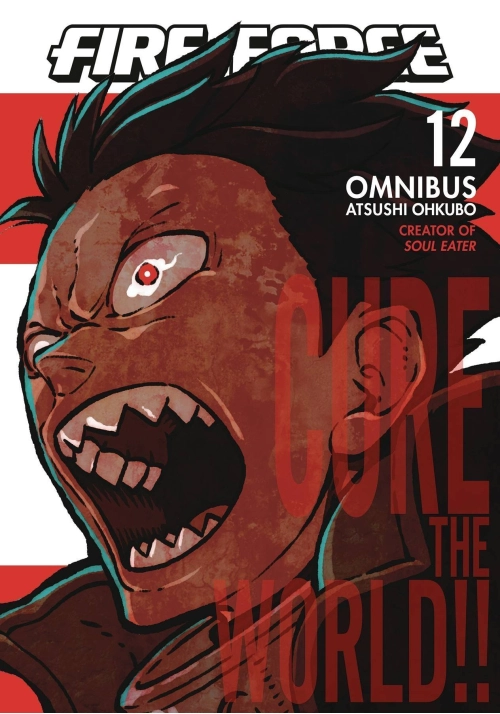 FIRE FORCE OMNIBUS GN VOL 12 VOL 33-34