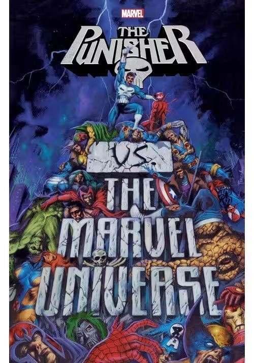 PUNISHER VS MARVEL UNIVERSE TP