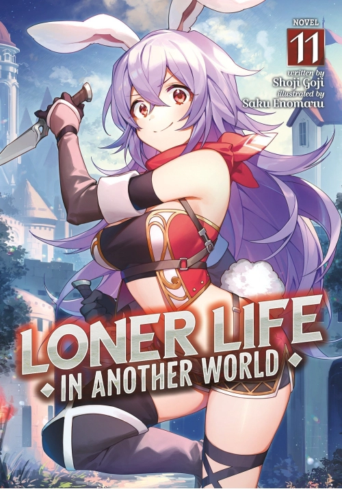 LONER LIFE IN ANOTHER WORLD (LIGHT NOVEL) VOL. 11