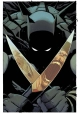ABSOLUTE BATMAN #19 CVR A NICK DRAGOTTA