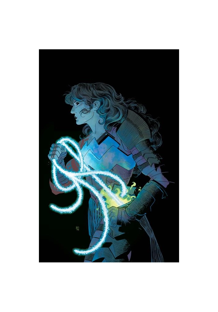 ABSOLUTE WONDER WOMAN #19 CVR A HAYDEN SHERMAN