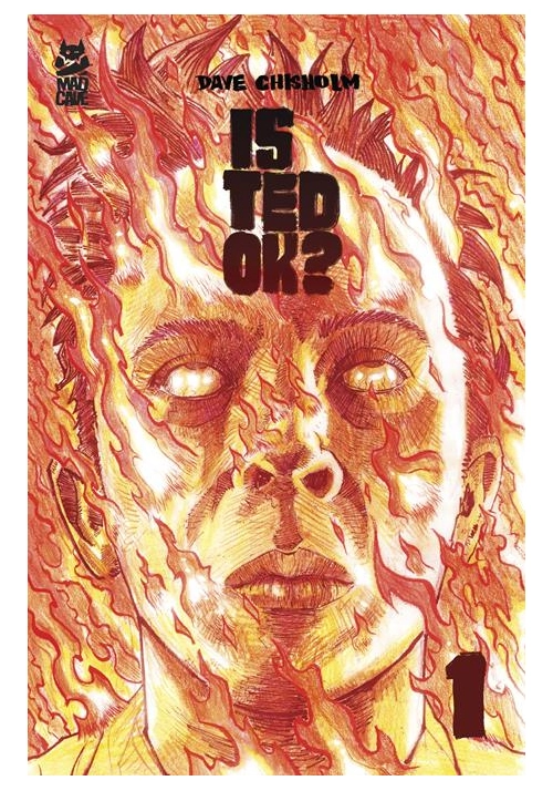 IS TED OK #1 (OF 6) CVR A DAVE CHISHOLM