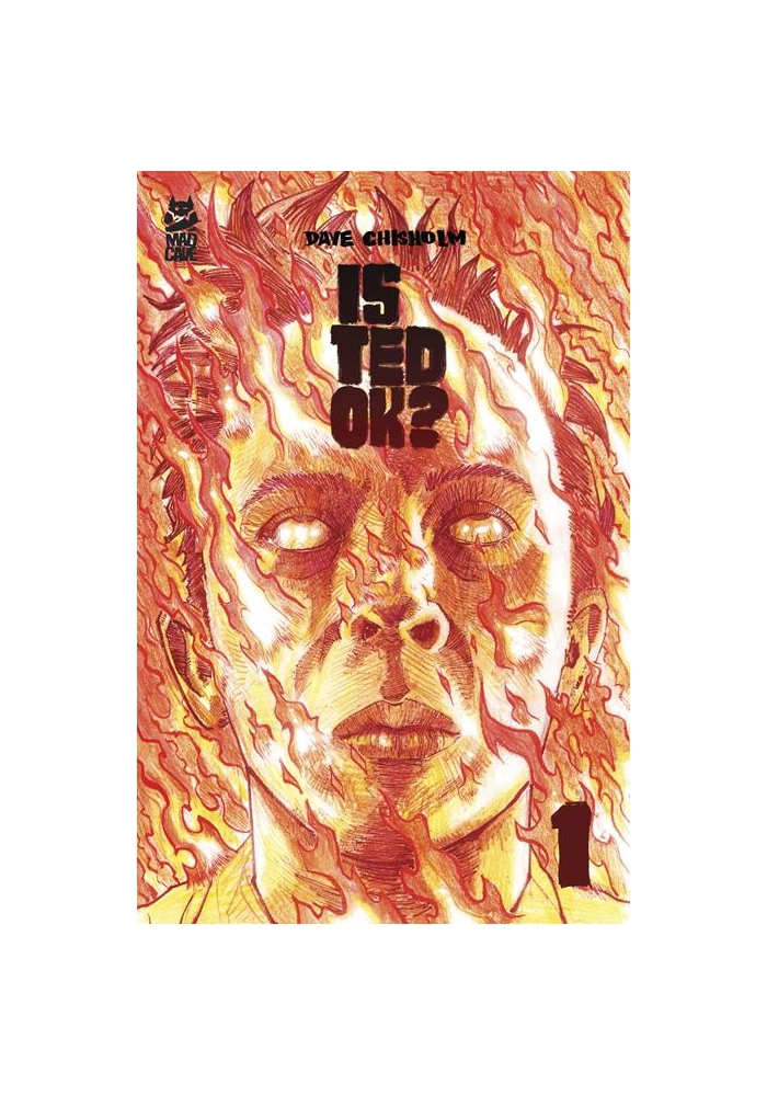 IS TED OK #1 (OF 6) CVR A DAVE CHISHOLM