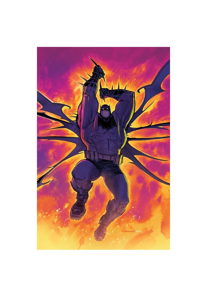 ABSOLUTE BATMAN #21 CVR E INC 1:25 CHRIS BRUNNER CARD STOCK VAR