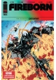 FIREBORN #2 CVR A PATRICK MULHOLLAND