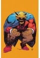 DEMON #1 CVR D HAYDEN SHERMAN NEXT LEVEL CARD STOCK VAR