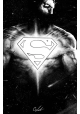 SUPERMAN #43 CVR F STEVAN SUBIC GLOW-IN-THE-DARK CARD STOCK VAR