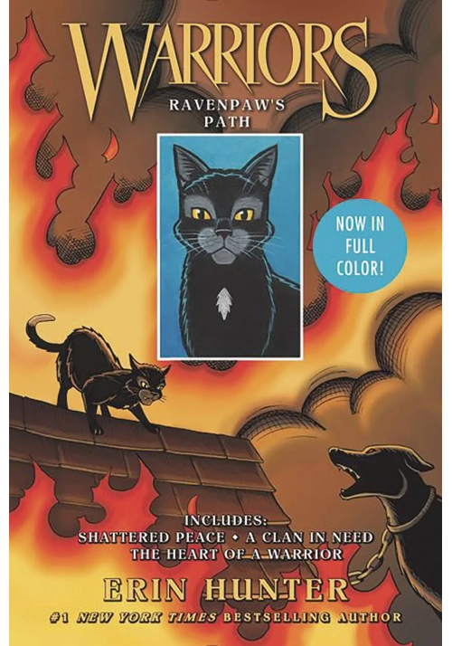 WARRIORS RAVENPAW PATH GN