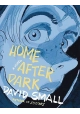 HOME AFTER DARK GN