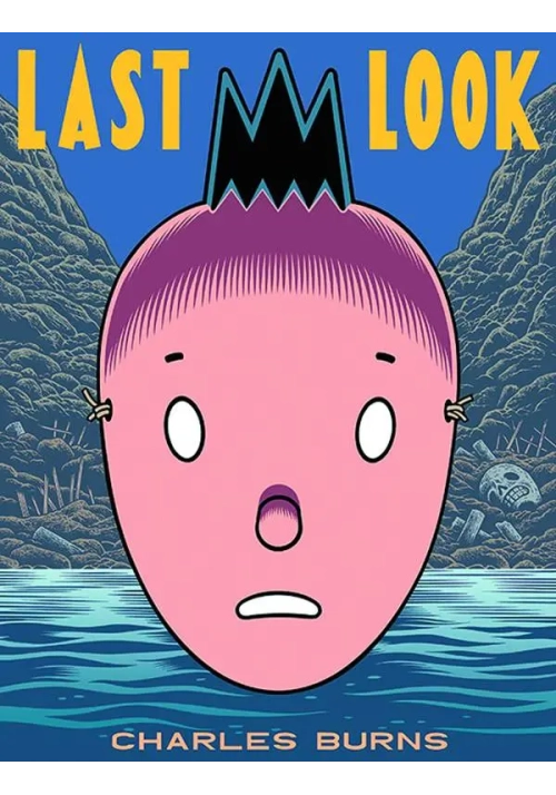 CHARLES BURNS LAST LOOK GN