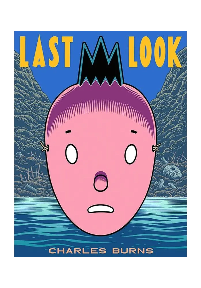 CHARLES BURNS LAST LOOK GN