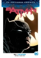 BATMAN TP VOL 01 I AM GOTHAM